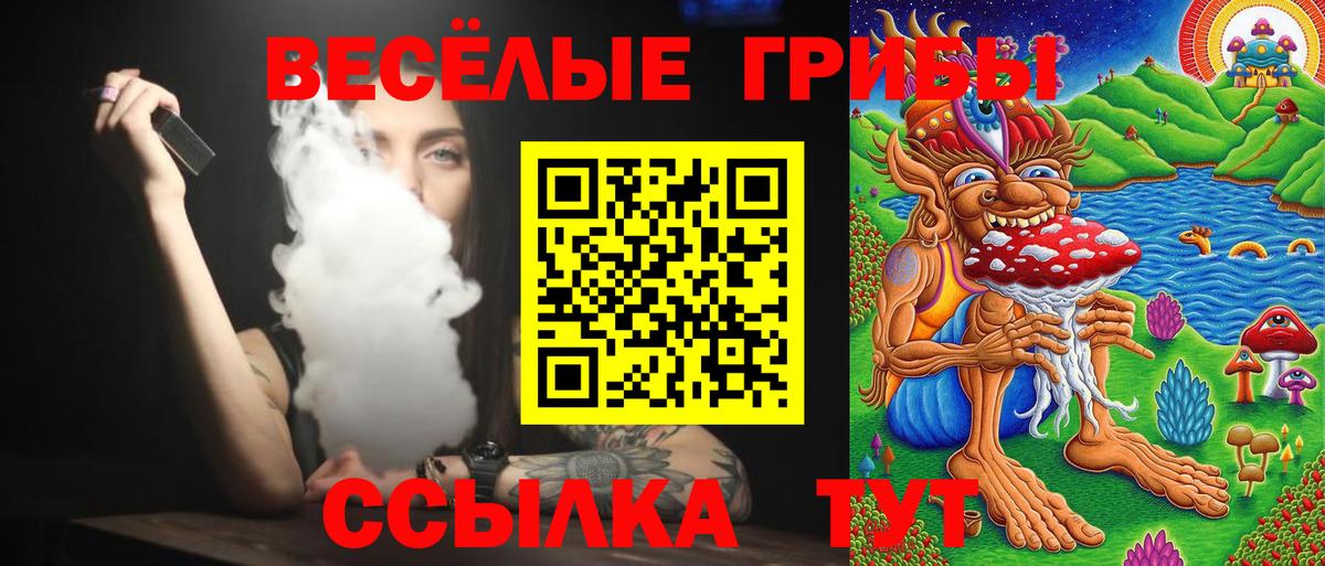 Белгород  Псилоцибиновые грибы GOLDEN TEACHER  Вход с VPN 